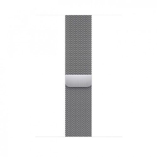 Умные часы Apple Watch Series 8 41 мм Silver Stainless Steel with Silver Milanese Loop, размер R